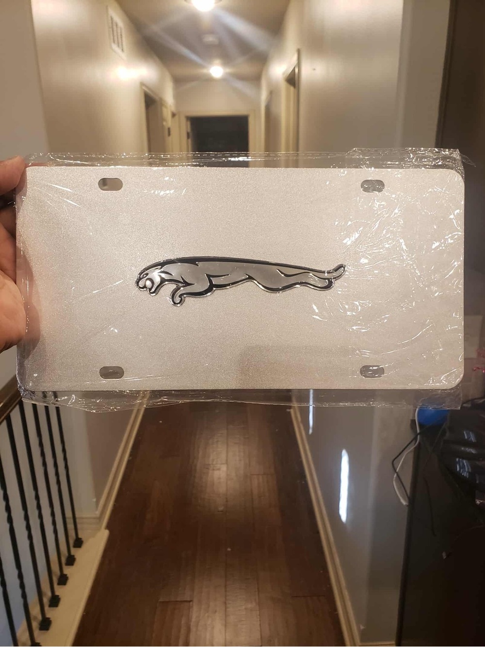 JAGUAR Glitter Sandblast Silver & Raised Chrome Front License Plate Frame